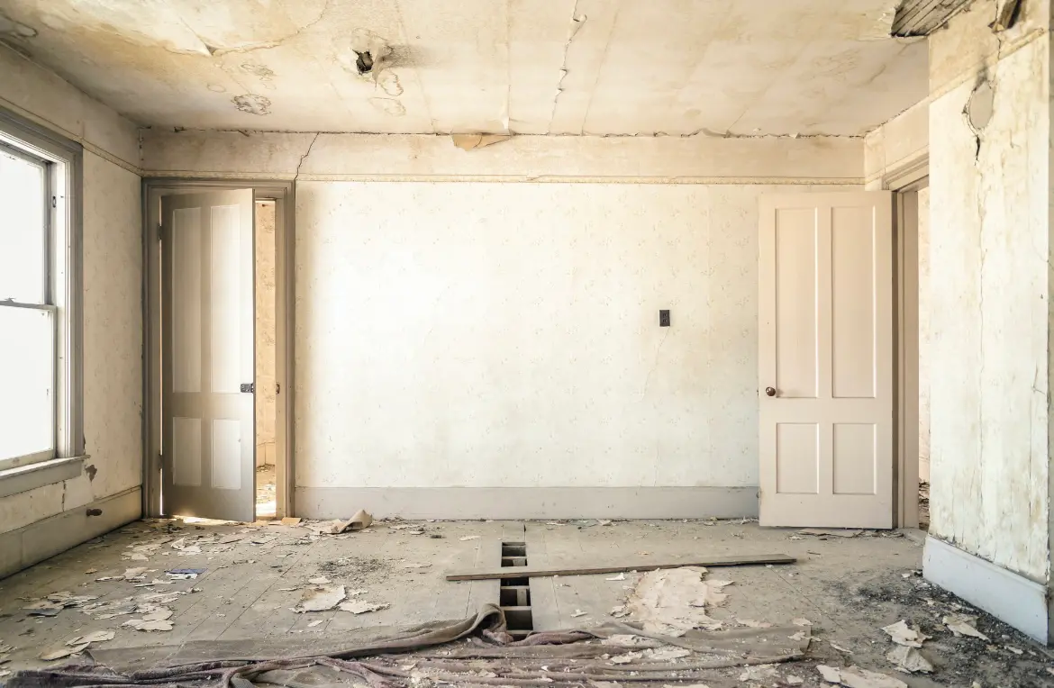 Waste disposal crew managing a cleanout project in Caseyville